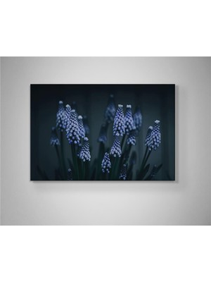 Gece Işığında Mor Salkım