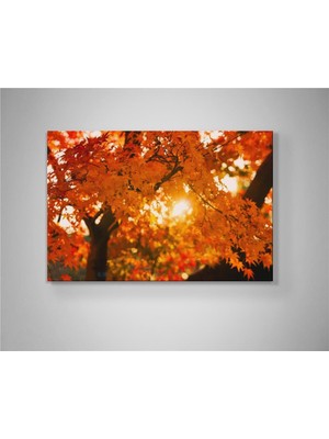 Sonbaharın Işığını Iç Mekânlara Taşıyan Altın Dokunuş