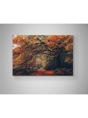 Sonbahar Tünelinde Renklerin Doruk Noktası