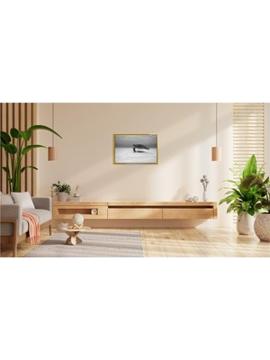 Derin Suların Sakin Yolcusu