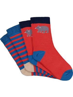Civil Boys Bear Havlu 2'li 2-12 Yaş Erkek Soket Çorap - Standart 6-7 Yaş
