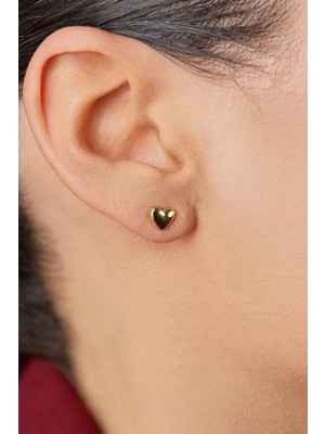 Fiyonk Kuyumculuk 14 Ayar Altın Kalp Küpe