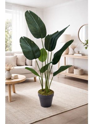 Maki Dekor Yapay Starliçe 140 cm Boyunda 9 Yapraklı Islak Dokulu Dekoratif Salon Ofis Ağacı