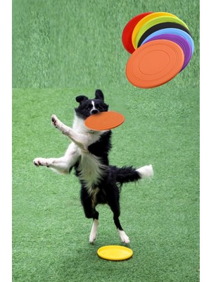 Vento Store Dayanıklı Silikon Frizbi Köpek Oyuncağı Esnek ve Güvenli Yakalama Oyunu Diski 17.5 cm 1 Adet