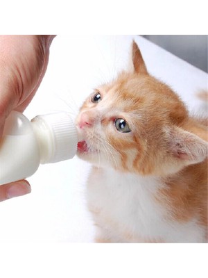 Vento Store Yavru Kedi Köpek Biberonu 2 Emzikli 50 ml (1 Adet)
