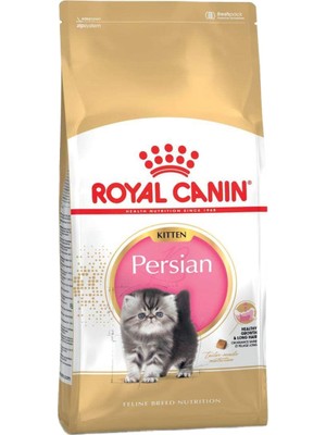 Vento Store Persian Kitten Yavru Iran Kediler 2kg