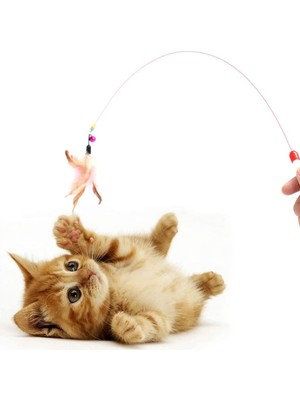 Vento Store Kedi Oyun Oltası, Renkli Kedi Oyuncağı, Elastik Tüylü Pelüş Kedi Oyuncak, Kedi Oltası Tüylü, Olta Eğ