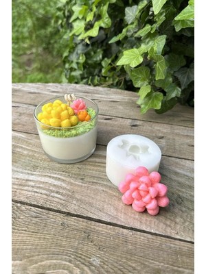 Obtusa Kalıbı (Silikon)