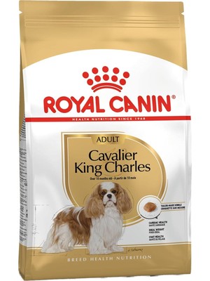 Vento Store Cavalier King Charles 10 Ay ve Üzeri Yetişkin Köpek Mamasi 1,5 Kg.