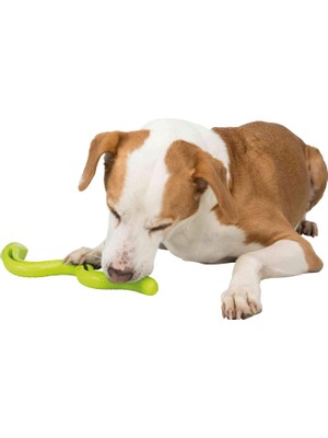 Vento Store Köpek Ödül Oyuncağı, Yeşil Yılan, Tpr, 42CM