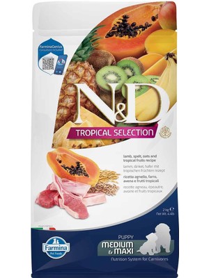 Vento Store Farmina Nd Tropical Selection Kuzu Etli ve Tropikal Meyveli Orta ve Büyük Irk Yavru Köpek Maması 2 K