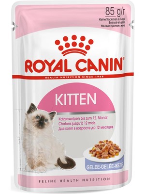 Vento Store Kitten Jelly Kedi Yaş Mama 85 gr