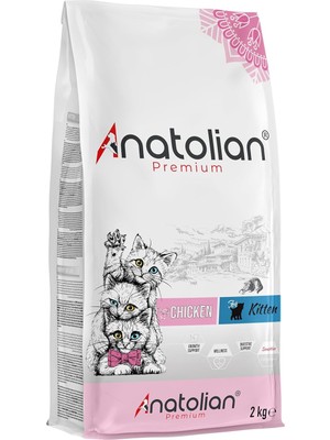 Vento Store Kitten Chicken Tavuklu Yavru Kedi Maması 2 kg