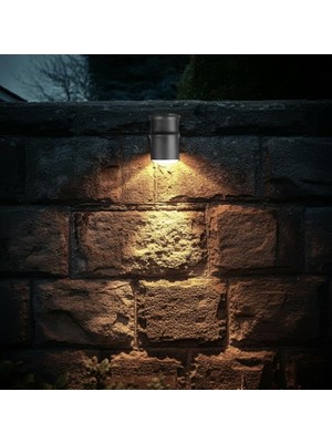 Geldi Tekli Çağlayan Aplik IP54 Dış Mekan Zita Bahçe Aydınlatma Duvar Apliği + GU10 LED Ampul (Gün Işığı)