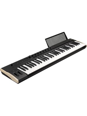 Keystage-61 - Keystage 61 Key Poly At Mıdı Controller Klavye - Siyah