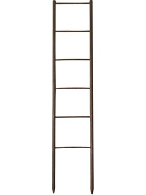 Cosy Saksı ve Bahçe Bitkileri Ahşap Destek Merdiveni (12,5 x 60 Cm)