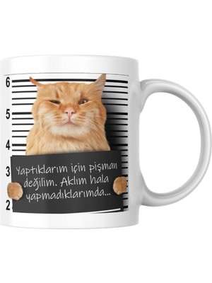 Pişman Değilim Komik Yazılı Kupa Bardak Hediyelik Çay Kahve Kupası Coffee Mug