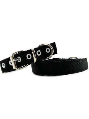 Vento Store Tasma Market Siyah Yumuşak Dokulu Küçük Irk Yavru Köpek Tasması Siyah Tek Ebat