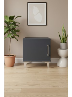 Silva Komodin Tek Raflı Tek Kapaklı Antrasit 44X30X48 cm