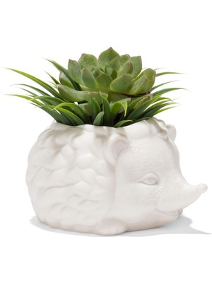 Vento Store – Kirpi Saksısı - Sevimli Seramik Hayvan Sukulent Bitki Saksısı - 7,8 cm x 14,8 cm x 13 cm