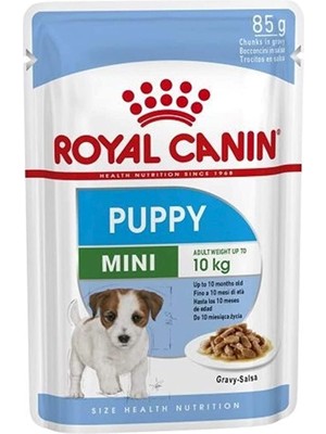Vento Store Mini Puppy Köpek Yaş Mama, 85 gr