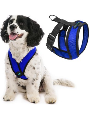 Vento Store Gooby - Comfort x Kafa Takımı, Boğulmaz, Küçük Köpek Tasması, Mikro Süet Süslemeli ve Patentli x Çer