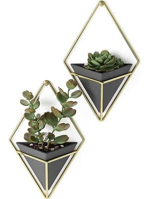 Shop A Way Umbra Trigg Duvar Vazosu ve Geometrik Dekoasyon, Oda Bitkileri, Sukulentler, Hava Bitkileri, Kaktüs,