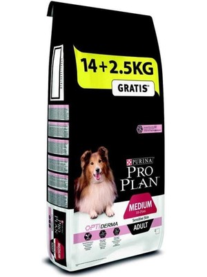Shop A Way Adult Sensitive Hassas Somonlu Yetişkin Köpek Maması 16.5 kg