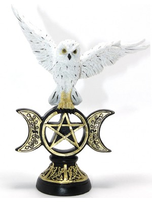 Alsepeteavm Polyester Baykuş SPR2351