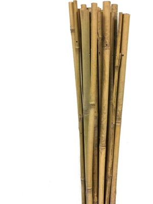 Shop A Way KKS110 Koko Sarmaşık Çubuğu - 110 cm