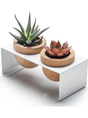 Shop A Way Halohope Metal Stantlı 2'li Skulent Saksısı Beyaz Saksılık