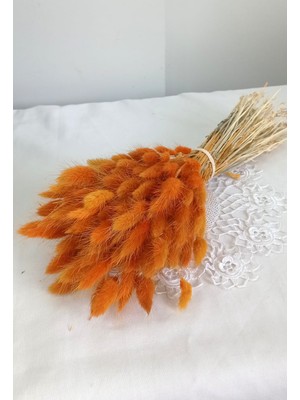 Birlik Pamuk Otu Lagurus Kuru Çiçek Turuncu-Kahverengi