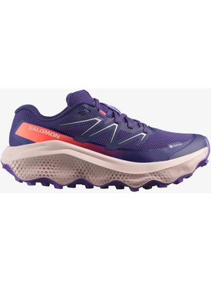 Salomon Ultra Flow 2 Gtx