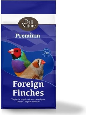 Hype Store Premium Foreign Finches Finch Yemi 1100GR