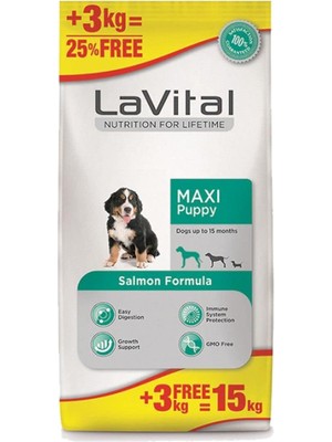 Hype Store Büyük Irk Somonlu Yavru Köpek Maması 15 kg