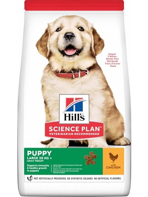 Hype Store Scıence Plan Büyük Irk Tavuklu Yavru Köpek Maması 2.5 kg