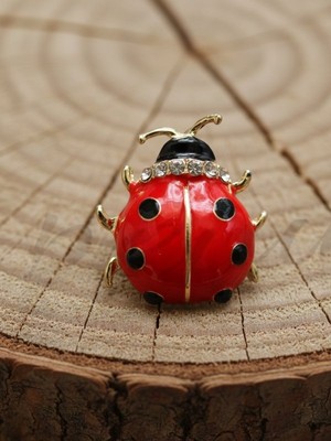 Punky Store Uğur Böceği Broş – Sevgililer Günü Kart Tasarımlı, Hediye- Taşlı Figürlü Kadın Broş