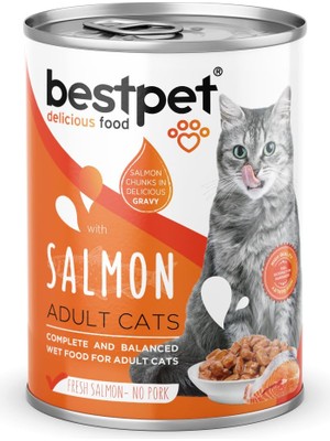 Hype Store Bestpet Yetişkin Kediler Için, Taze Somon Parça Etli ve Soslu Yaş Mama, 400 G x 12 Adet