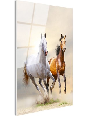 Tablofest Tamperli Gerçek Cam Tablo Özgür Ruhlu Ikili At Tablosu Duvar Dekoru