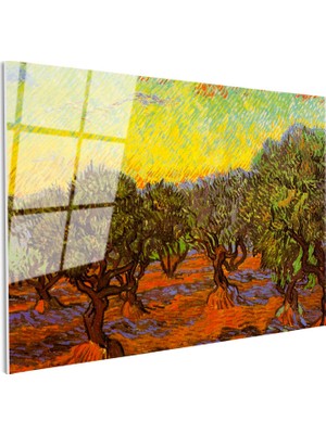 Tablofest Tamperli Gerçek Cam Tablo Vincent Van Gogh Zeytin Ağaçları Tarlası Ressam Tablosu Dekoru