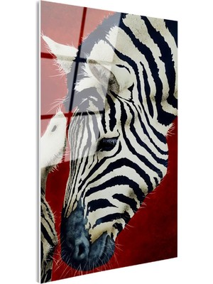 Tablofest Tamperli Gerçek Cam Tablo Doğal Desen Zebra Tablosu Duvar Dekoru