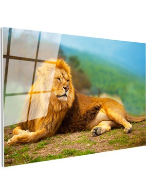 Tablofest Tamperli Gerçek Cam Tablo Yeşil Çimen Zemin Aslan Portresi Aslan Tablosu Duvar Dekoru