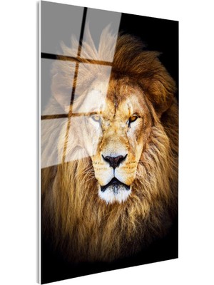 Tablofest Tamperli Gerçek Cam Tablo Simetrik Yüz Hatlı Aslan Tablosu Duvar Dekoru