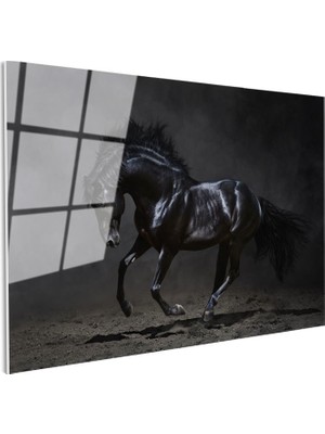 Tablofest Tamperli Gerçek Cam Tablo Kaslı Siyah Aygır At Tablosu Duvar Dekoru