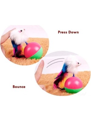 No 35 Moda Kedi Fare Hacıyatmaz Oyunu