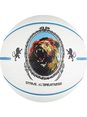 Nike N.100.4372.086.07 Playground 2.0 8p L James Deflated Unisex Basketbol Topu