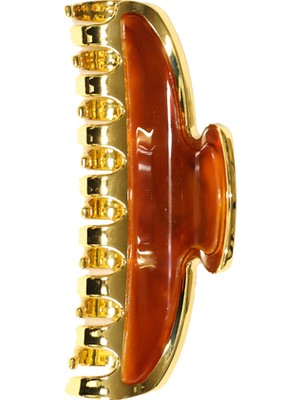 Janeke Hair Clip Saç Tokası Gold JG29100DBL