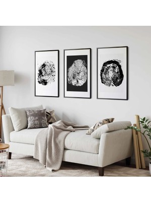 Pam Studio Siyah Beyaz Ağaç Desenli 3’lü Tablo Seti – Modern Minimal Duvar Dekoru