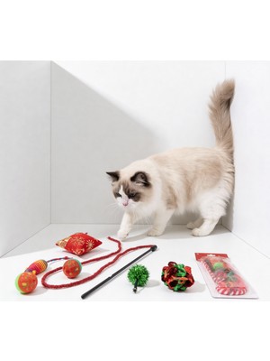 Runaway Yılbaşı Konseptli Kedi Oyuncak Seti Hediye