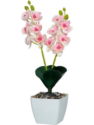 Çiçekmisin Beyaz Plastik Saksıda Dekoratif Orkide Yapay Çiçek